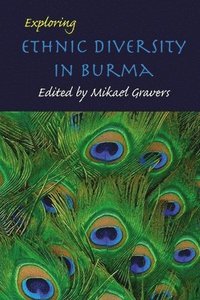 bokomslag Exploring ethnic diversity in Burma