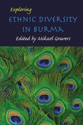 bokomslag Exploring Ethnic Diversity in Burma