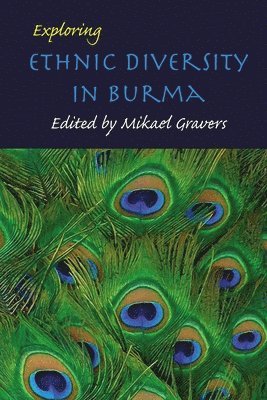 Exploring ethnic diversity in Burma 1