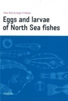 bokomslag Eggs and larvae of North Sea fishes