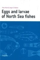 bokomslag Eggs & Larvae of North Sea Fishes