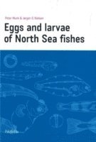 Eggs and larvae of North Sea fishes 1