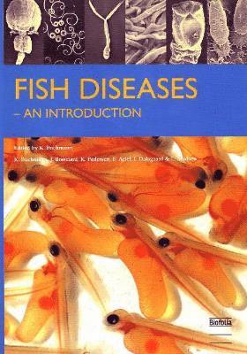 bokomslag Fish Diseases