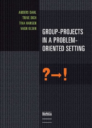 Anders Dahl, Trine Dich, Tina Hansen, Vagn Olsen - Group-Projects in a Problem-Oriented Setting, Häftad