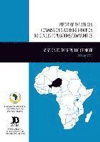 African Commission on Human and Peoples' Rights, International Work Group for Indigenous Affairs - Report of the African Commission's Working Group on Indigenous Populations / Communities, Häftad