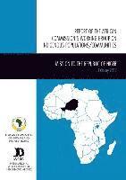 bokomslag Report of the African Commission's Working Group on Indigenous Populations / Communities