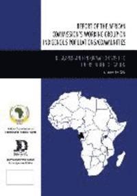bokomslag Report of the African Commission's Working Group on Indigenous Populations / Communities