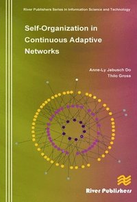 bokomslag Self-Organization in Continuous Adaptive Networks