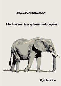 bokomslag Historier fra glemmebogen