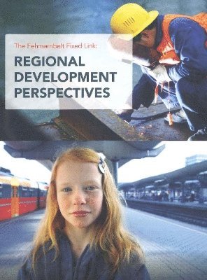 Christian Wichmann Matthiessen, Marianne Worm - Fehmarnbelt Fixed Link, Häftad