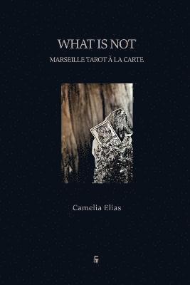 Camelia Elias - What is not, Häftad