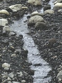 bokomslag Olafur Eliasson: Riverbed