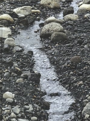 Olafur Eliasson: Riverbed 1