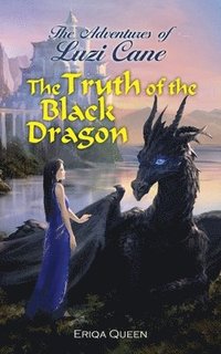 bokomslag The Truth of the Black Dragon