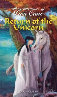 bokomslag Return of the Unicorn