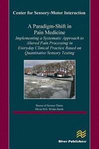 bokomslag A Paradigm-Shift in Pain Medicine