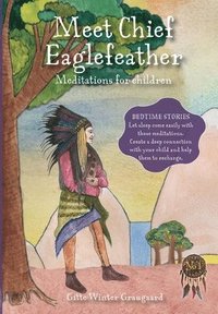 bokomslag Meet Chief Eaglefeather
