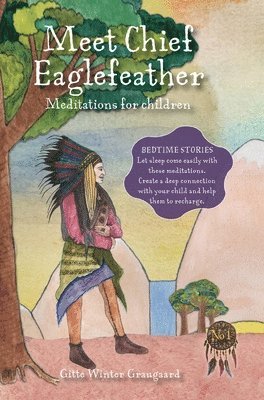 bokomslag Meet Chief Eaglefeather