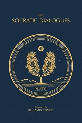 bokomslag Socratic Dialogues