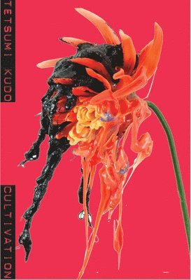 Tine Colstrup, Laerke Rydal Jorgensen - Tetsumi Kudo: Cultivation, Häftad