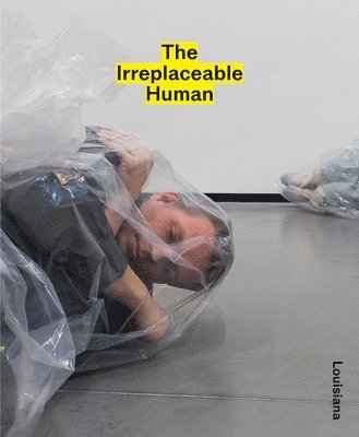 Mathias Ussing Seeberg, Lærke Rydal Jørgensen - Irreplaceable Human: Conditions of Creativity in the Age of AI, Inbunden