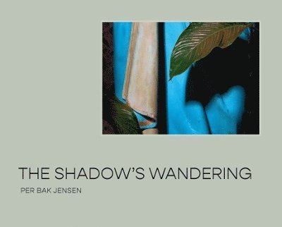 The Shadows Wandering 1