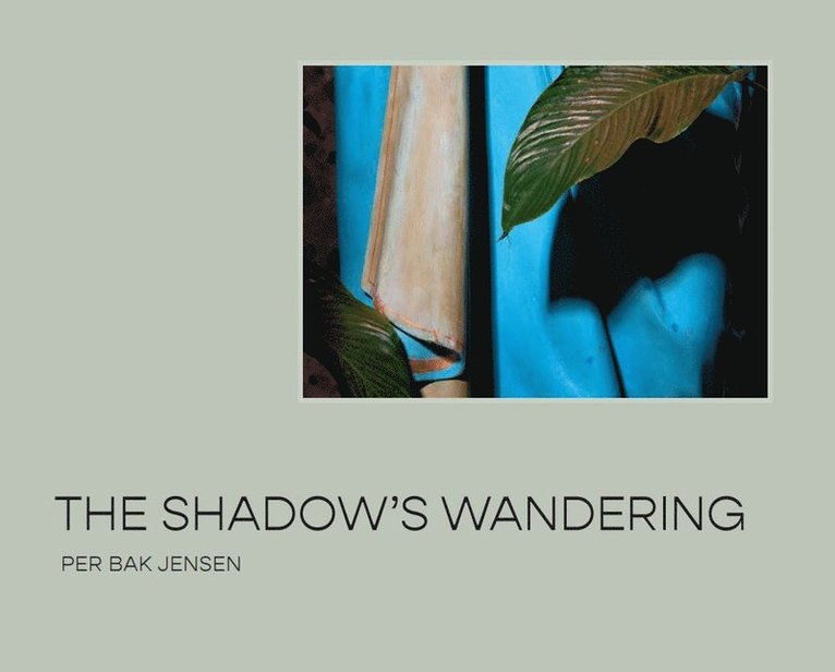 The Shadows Wandering 1