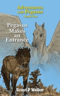 bokomslag Pegasus Makes an Entrance