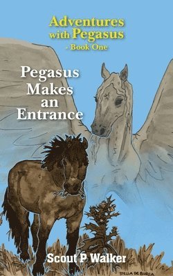 Pegasus Makes an Entrance 1