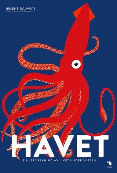 Emmanuelle Grundmann - Havet : en utforskning av livet under vatten, Inbunden
