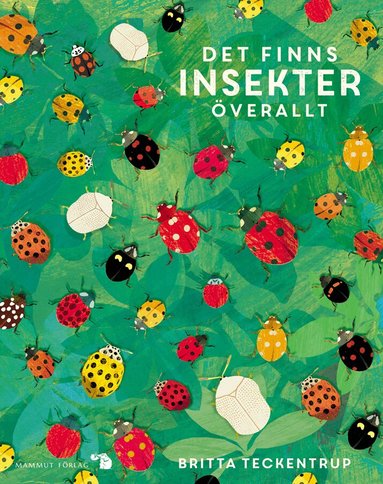 Lily Murray - Det finns insekter överallt, Inbunden