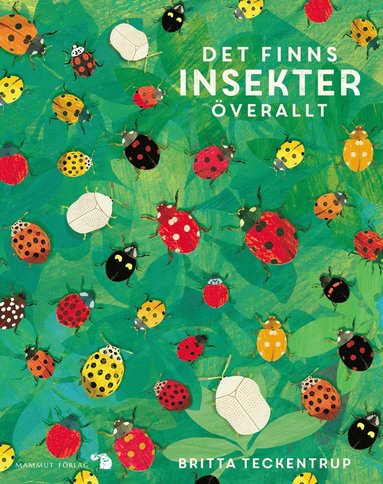 bokomslag Det finns insekter överallt