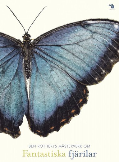 bokomslag Fantastiska fjärilar