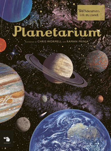 bokomslag Planetarium