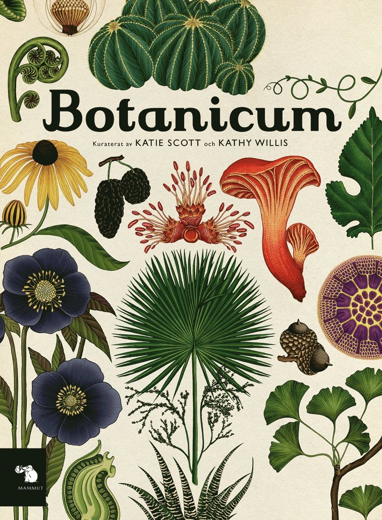 Botanicum 1