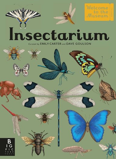 Dave Goulson - Insectarium, Inbunden