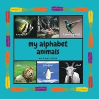 bokomslag My Alphabet Animals. My First Book