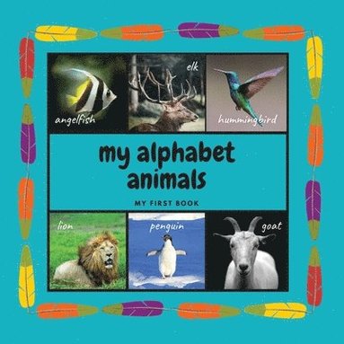 bokomslag My Alphabet Animals. My First Book