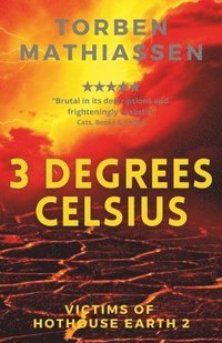 bokomslag 3 degrees celsius