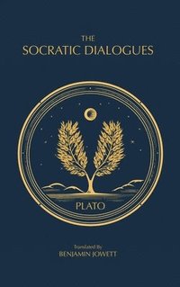 bokomslag Socratic Dialogues