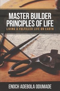 bokomslag Master Builder Principles of Life: Living a Fulfilled Life on Earth