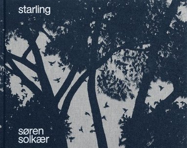 bokomslag Søren Solkær: Starling