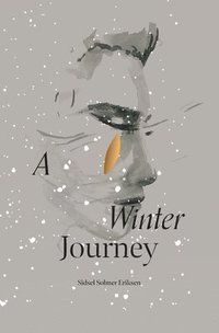 bokomslag Winter Journey