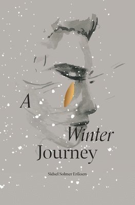 bokomslag Winter Journey