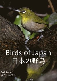 bokomslag Birds of Japan