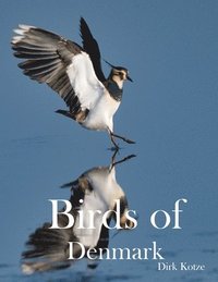 bokomslag Birds of Denmark