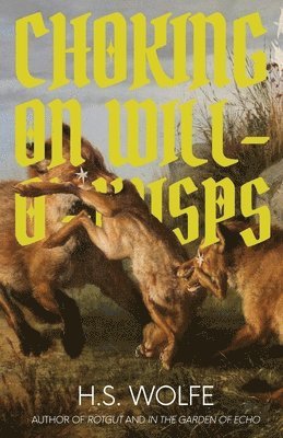 H S Wolfe, H. S. Wolfe, H.S. Wolfe - Choking on Will-O'-Wisps, Häftad