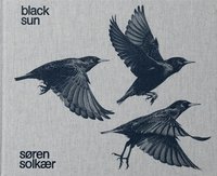 bokomslag Søren Solkær: Black Sun