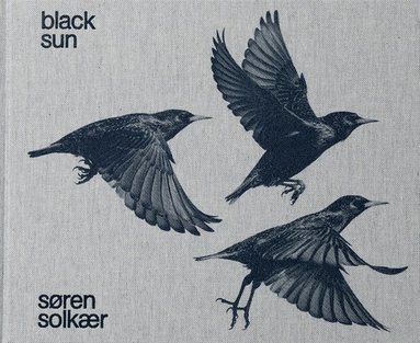 bokomslag Søren Solkær: Black Sun