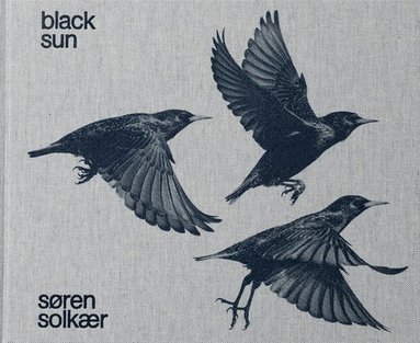 bokomslag Sren Solkr: Black Sun